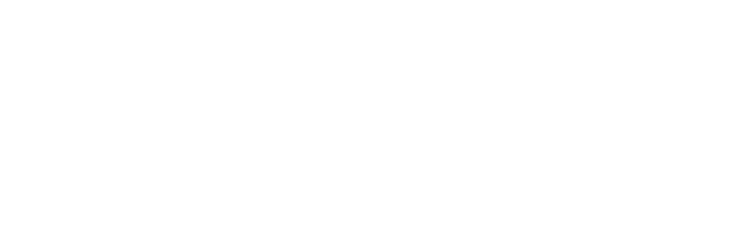 Saveska Construction Logo